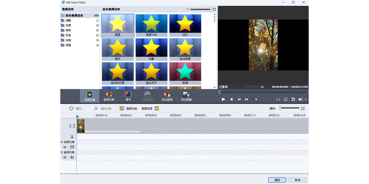 AVS Video Converterͼ6
