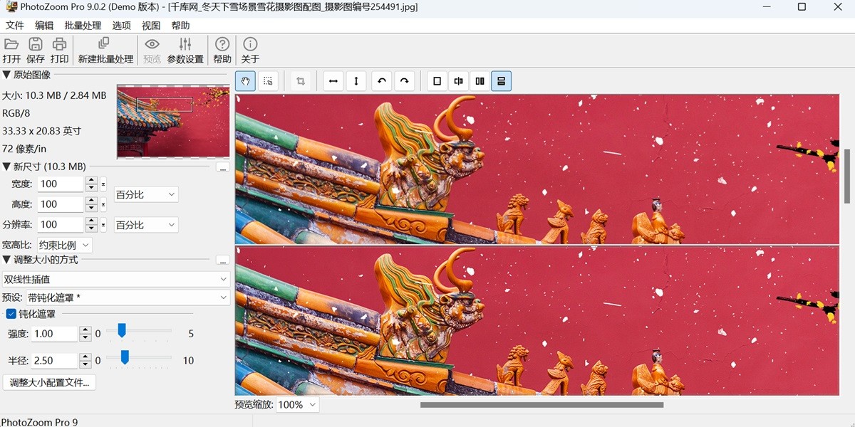 PhotoZoom Pro 9��ͼ4