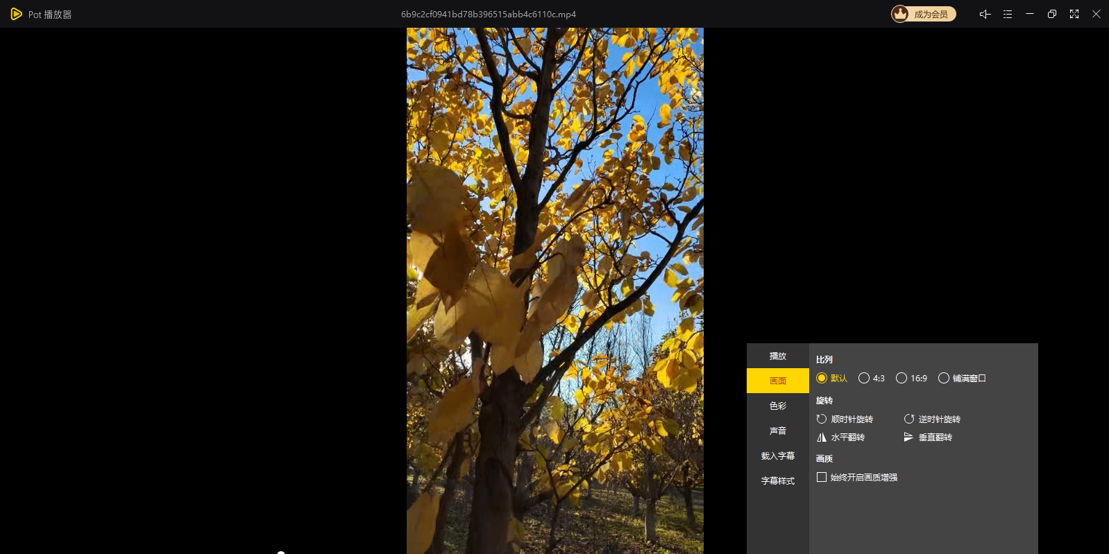 Pot��������ͼ8